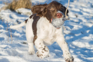 Full fart in Full fart in