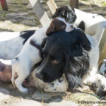 Kul klätterställning