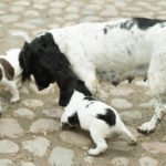 Mamma är bara sååå kul