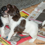 Nu leker vi - det har jag bestämt