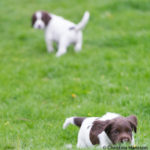 Sa du att det var mat - jag kommer