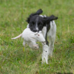 Kolla vad jag hittade!