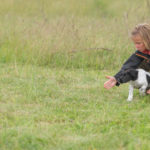 Linjetag - mot populärt mål