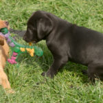 Den är faktiskt min