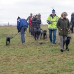 Duktiga 6 månaders valpar