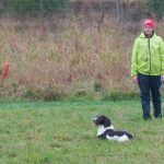 Harry visar god stadga