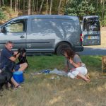 Paus i Tyskland - observera servetterna