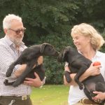 Puss på dig brorsan - Perro och Stella