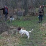 In i riset med dig, husse!