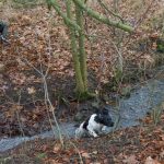 Marias Flisa på väg uppåt uppåt uppåt!