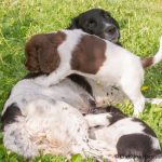 Annan typ av klättterställning