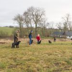 Inkallning från en dummy