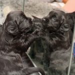 Vem är du på andra sidan?