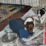 Kul klätterställning