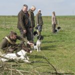 Nessie skickades på linjetag