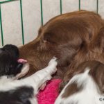 Puss på dig, mamma!