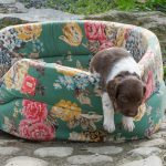 Största hanen provar sina vingar