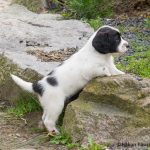 Undra om jag kan komma upp här...