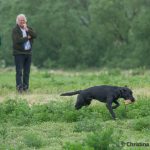 Glad husse i bakgrunden