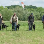 I väntan på kaninen...