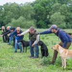 Man får INTE gå bara för att armen pekar