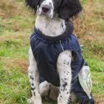 C S Fancy Colour Diamond