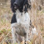 C S First Lady aka Isa