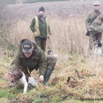 Linjetag även för en spaniel