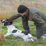 C S Fancy Colour Diamond