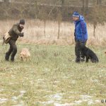 Anders skickar Nino förbi alla syskon