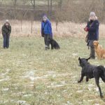 Pi på väg in med apport