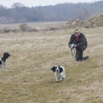 Apportera med viss störning