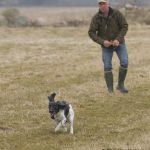 Walle med Isa - Pepper-Divadotter