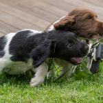 De där vill jag ju ha