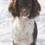 Vackra fina Diva