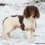 OFTW Country Sports Divine