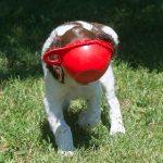 Det är viktigt med vatten