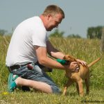 Nöjd husse