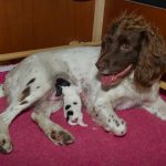Mamma Emma