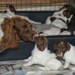 Ute i köket med mamma Diva