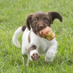 Full fart in - Abby