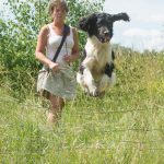 Bilbo högt upp med tassarna