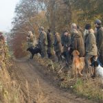 Förbereder inför solorosorna