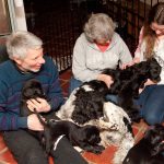 Tina & Boy i mitten - såklart