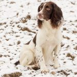 C S Killbeggan aka Harry