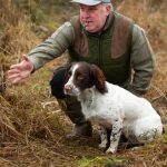 Koncentrerad husse och hund
