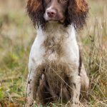 Country Sports Eminent