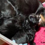 Blir det bra så här?