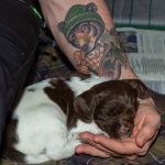 Tryggt med en egen nallebjörn när man sover