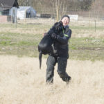 C S Catch - Loke - fångas av matte Linn